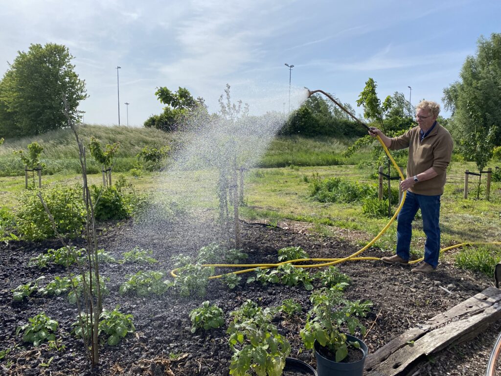 2023-05-29-Amb8route-Voedselbos-aardappelen besproeien